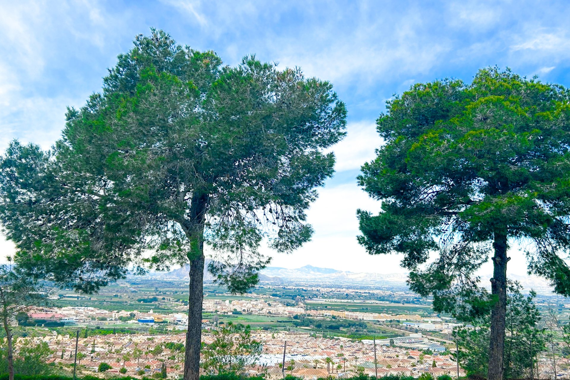Wiederverkauf - Wohnung -
Ciudad Quesada - Costa Blanca