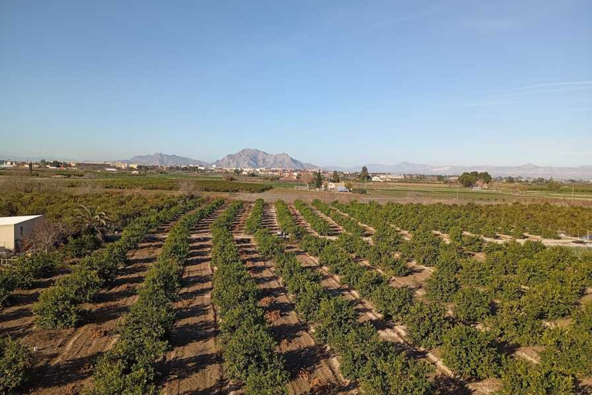 Wiederverkauf - Wohnung -
Daya Nueva - Costa Blanca