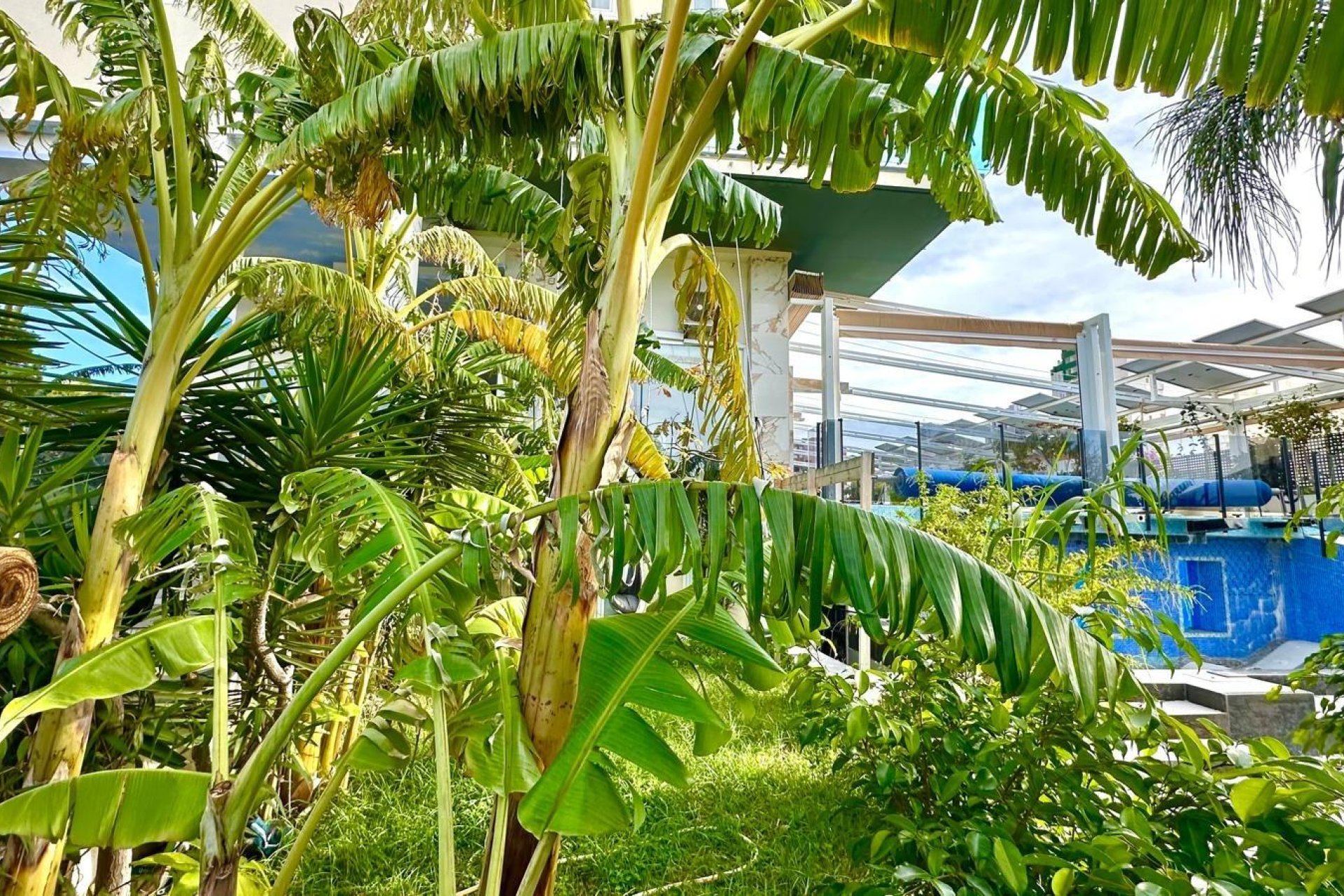 Wiederverkauf - Wohnung -
Finestrat