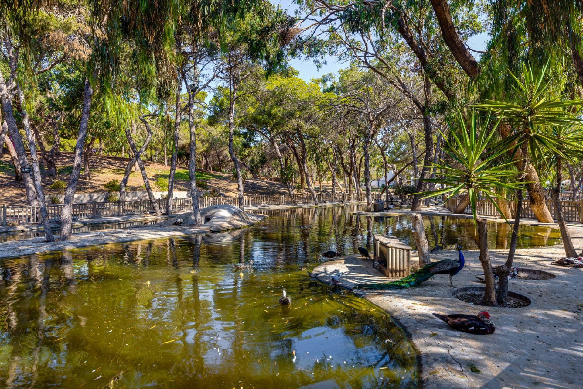 Wiederverkauf - Wohnung -
Guardamar del Segura - Costa Blanca