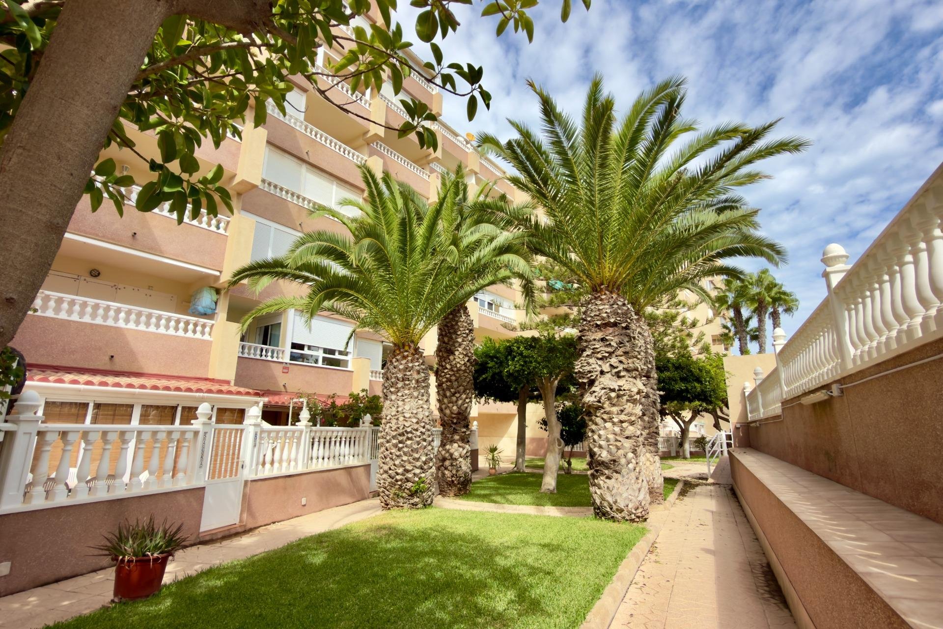 Wiederverkauf - Wohnung -
Guardamar del Segura - Urbanizaciones