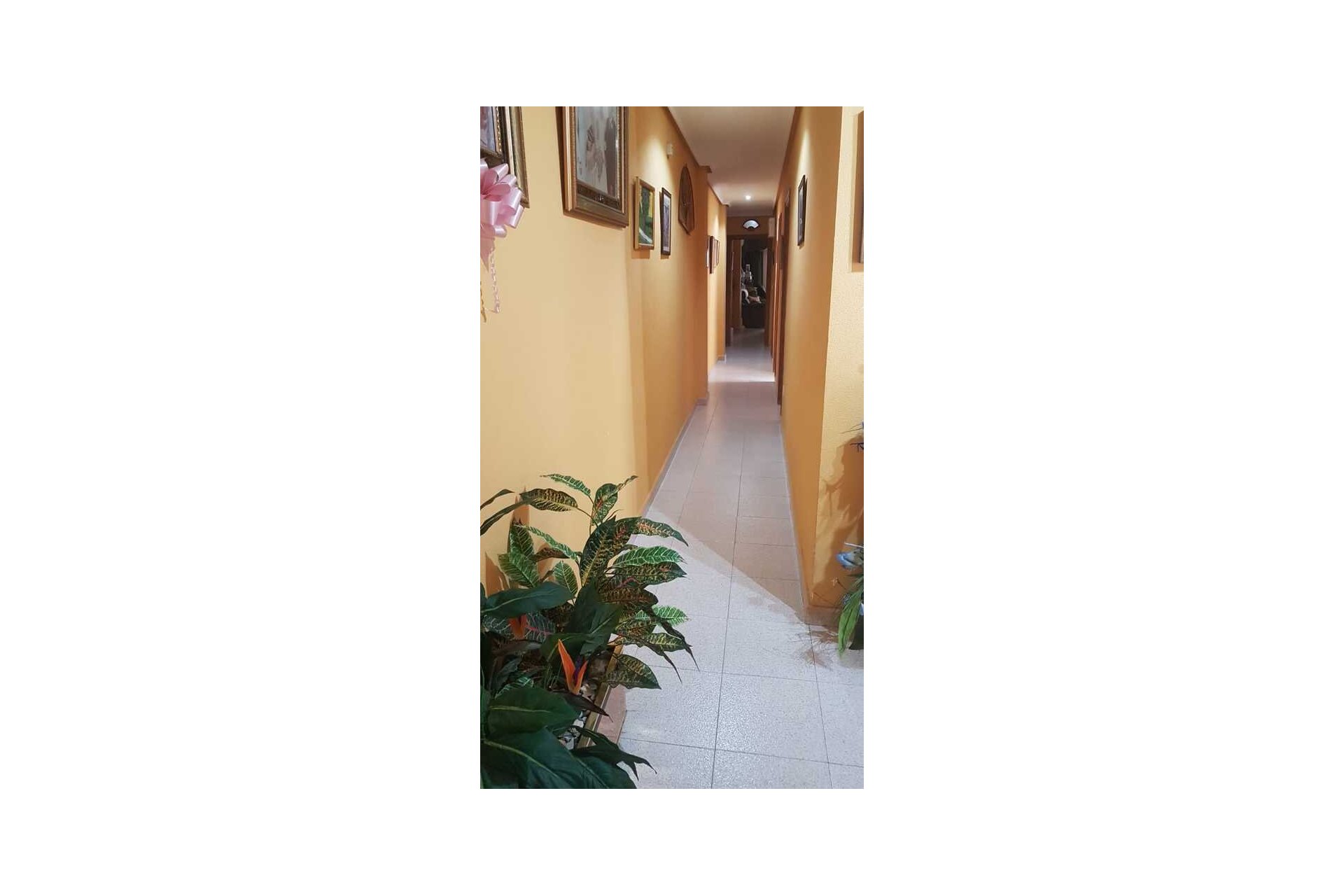 Wiederverkauf - Wohnung -
La Mata - Costa Blanca