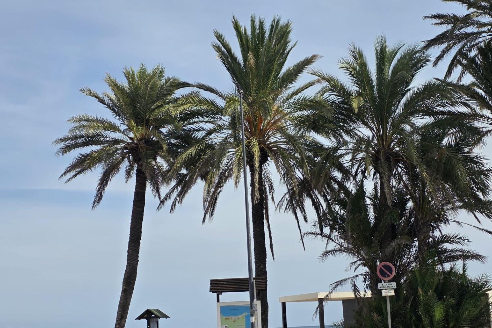 Wiederverkauf - Wohnung -
Orihuela Costa - Altos De Campoamor