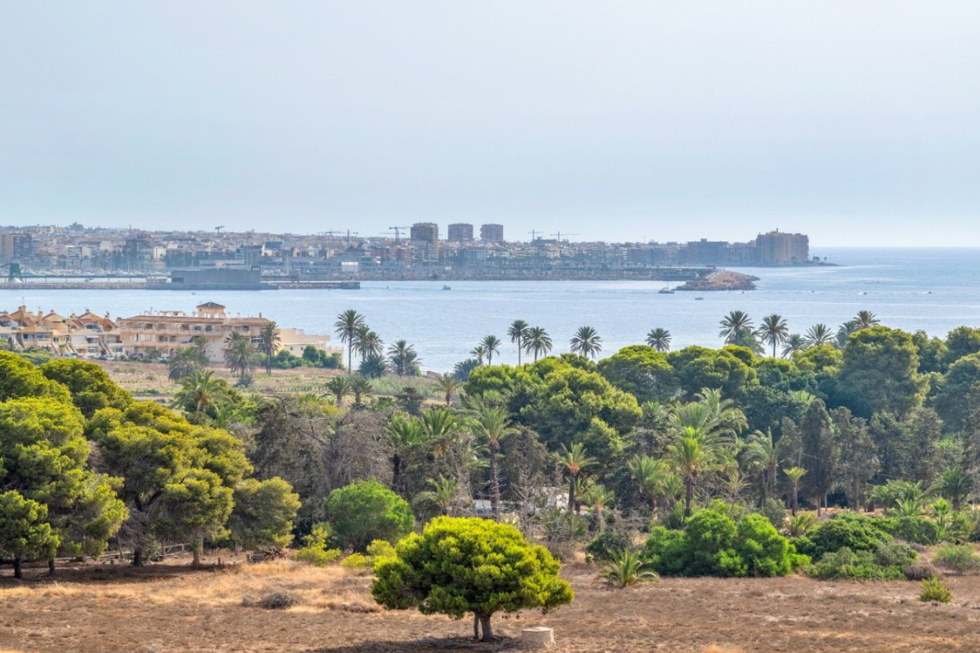 Wiederverkauf - Wohnung -
Orihuela Costa - Costa Blanca