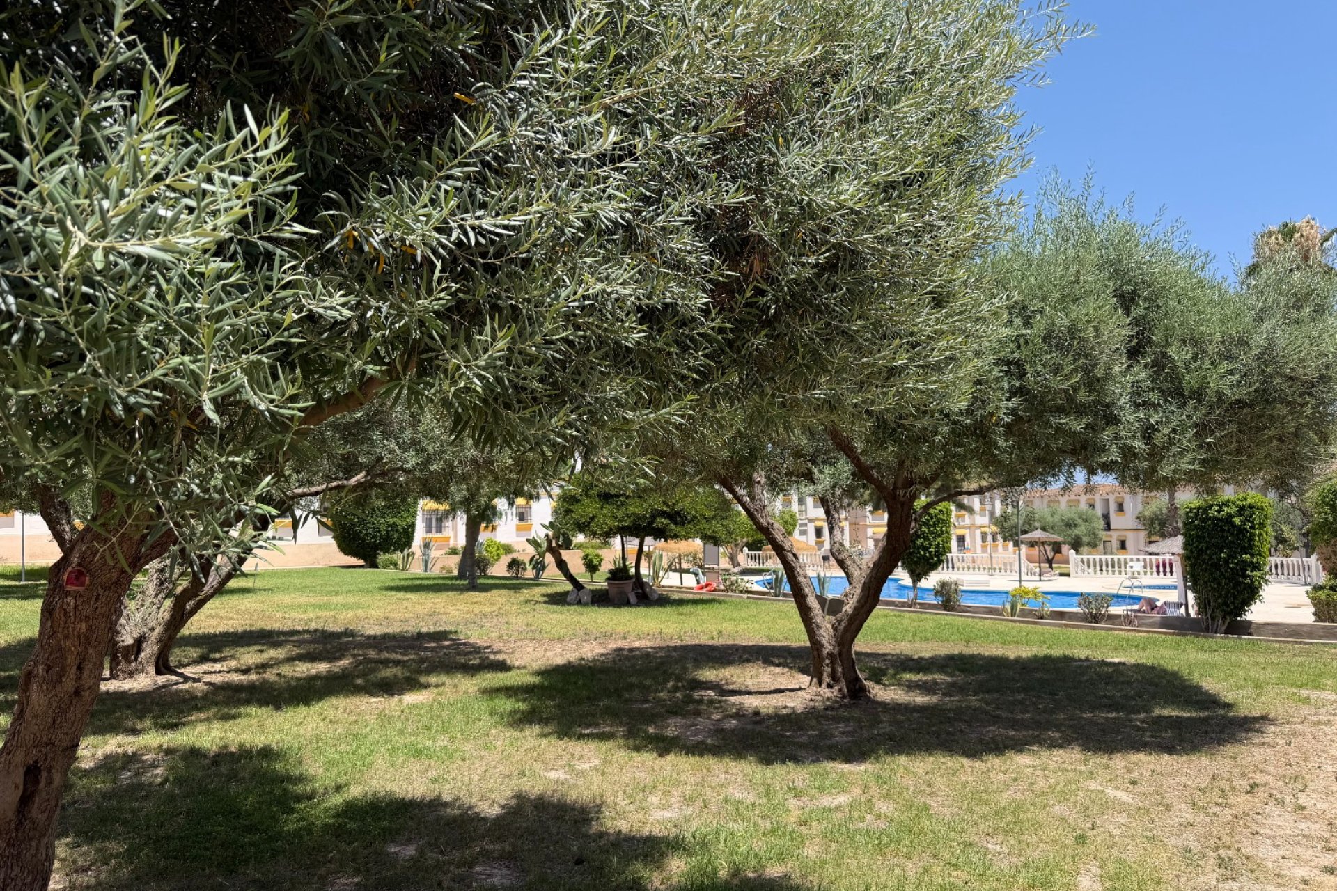 Wiederverkauf - Wohnung -
Orihuela Costa - Costa Blanca