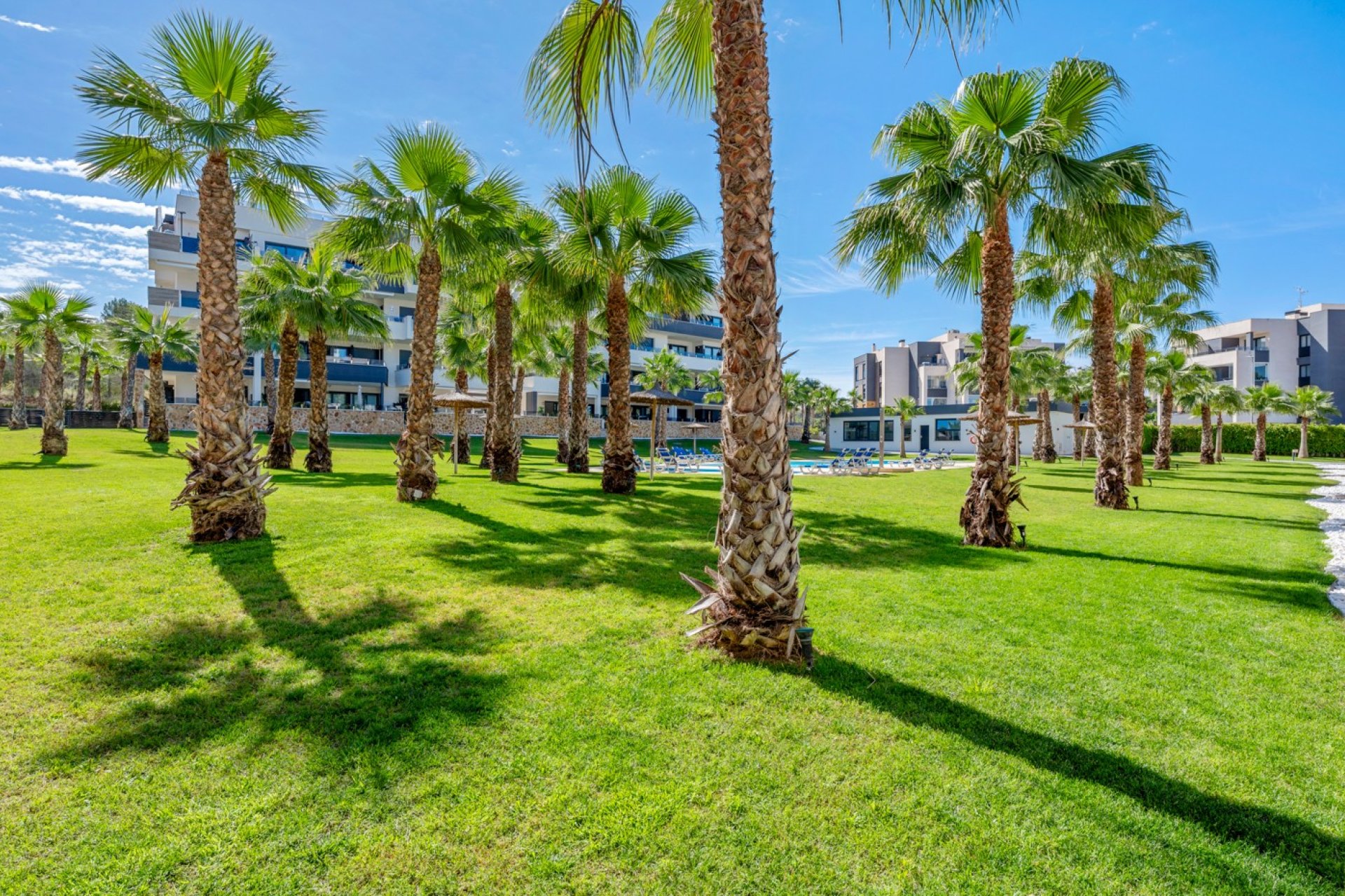 Wiederverkauf - Wohnung -
Orihuela Costa - Costa Blanca
