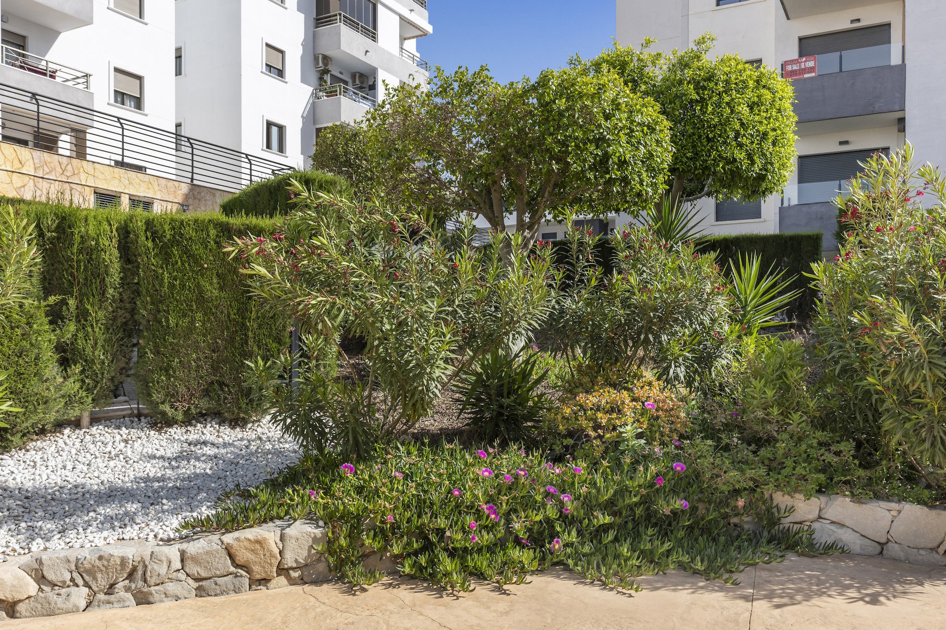 Wiederverkauf - Wohnung -
San Miguel de Salinas - Inland
