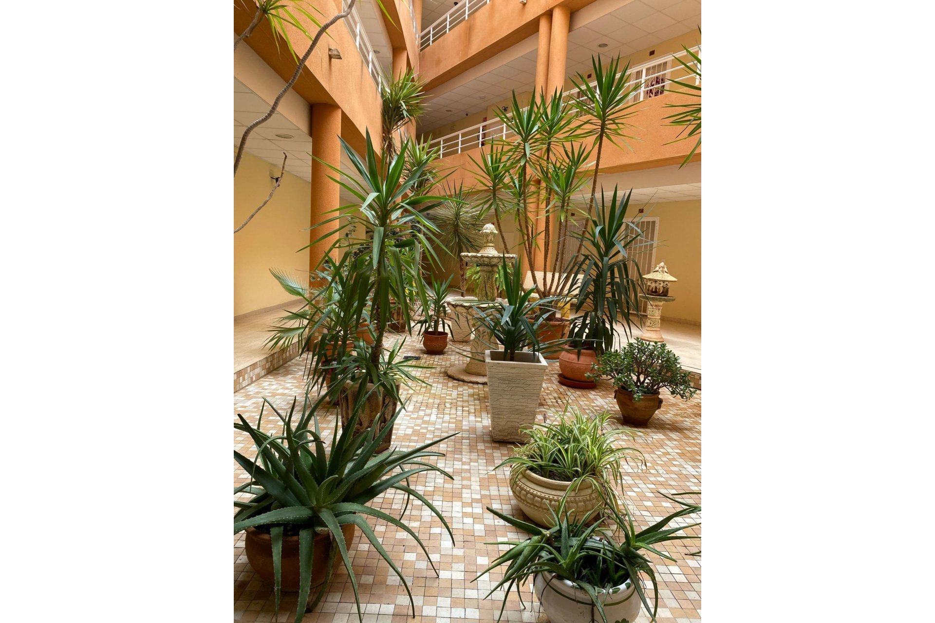 Wiederverkauf - Wohnung -
San Miguel de Salinas - Pueblo 9