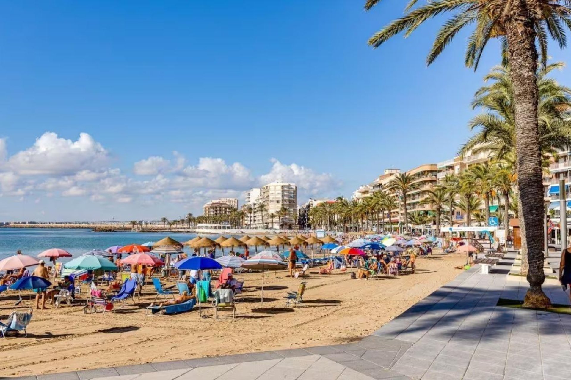 Wiederverkauf - Wohnung -
Torrevieja - Centro