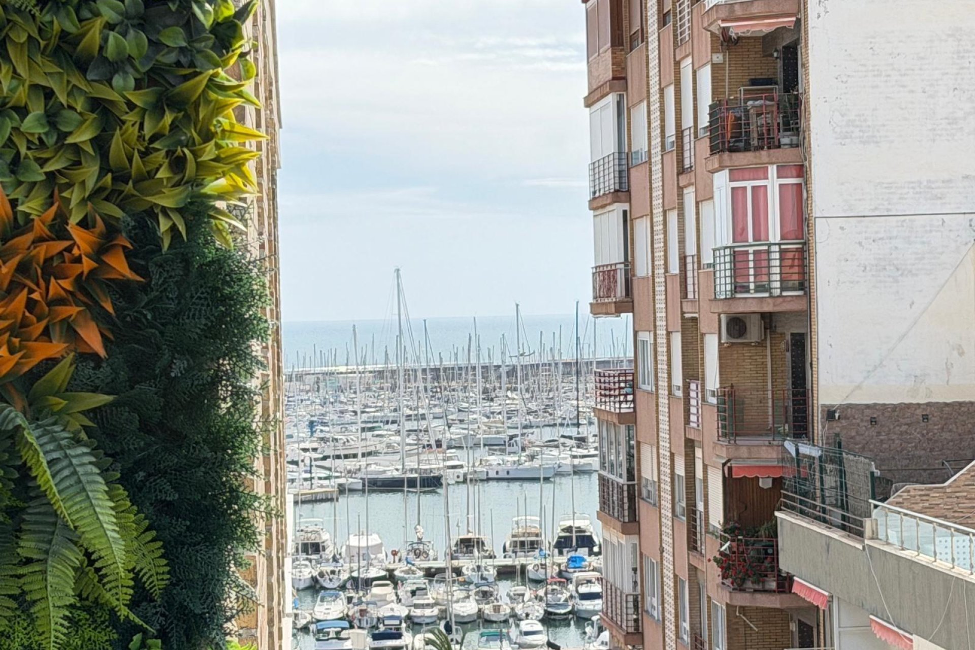 Wiederverkauf - Wohnung -
Torrevieja - Centro