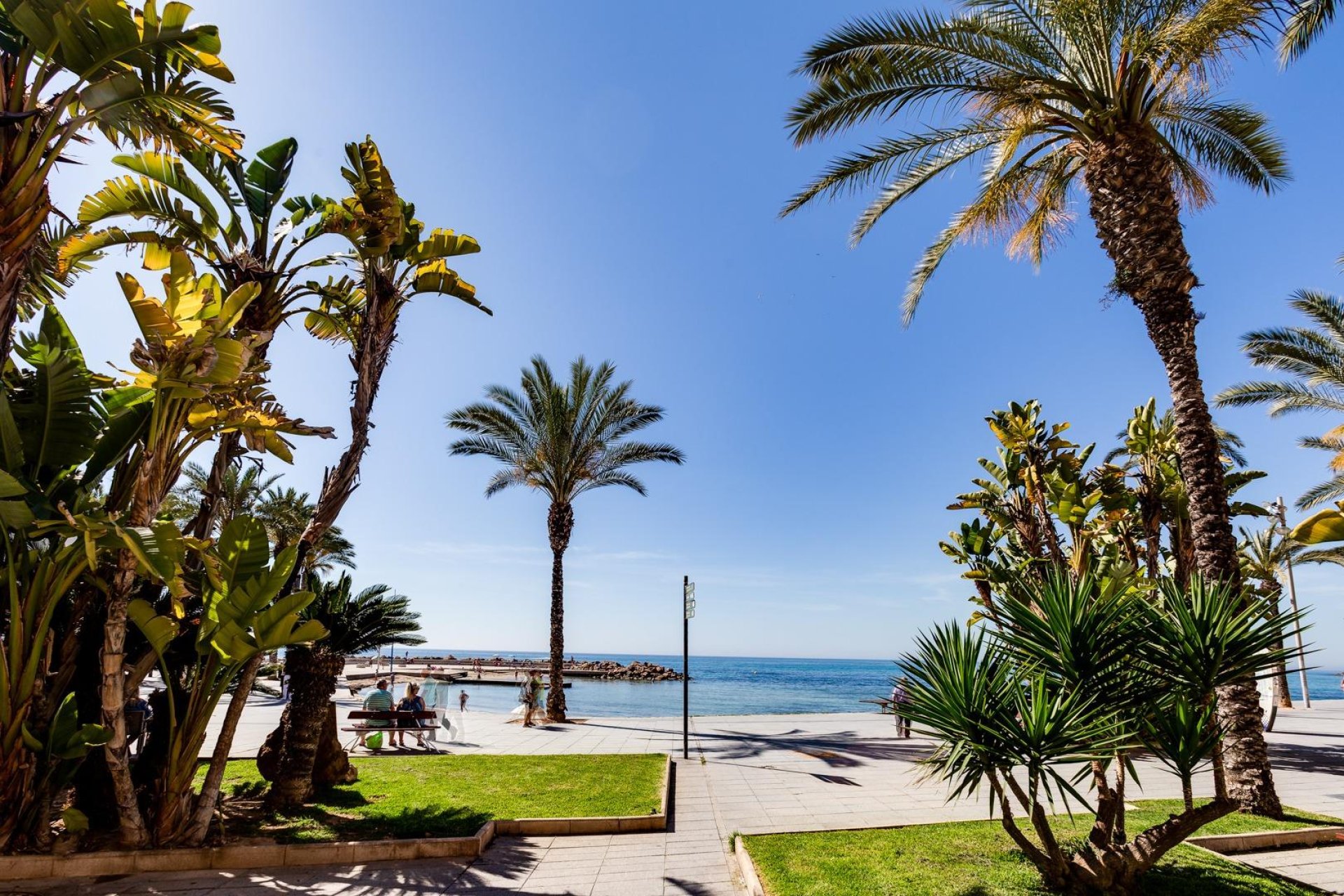 Wiederverkauf - Wohnung -
Torrevieja - Centro