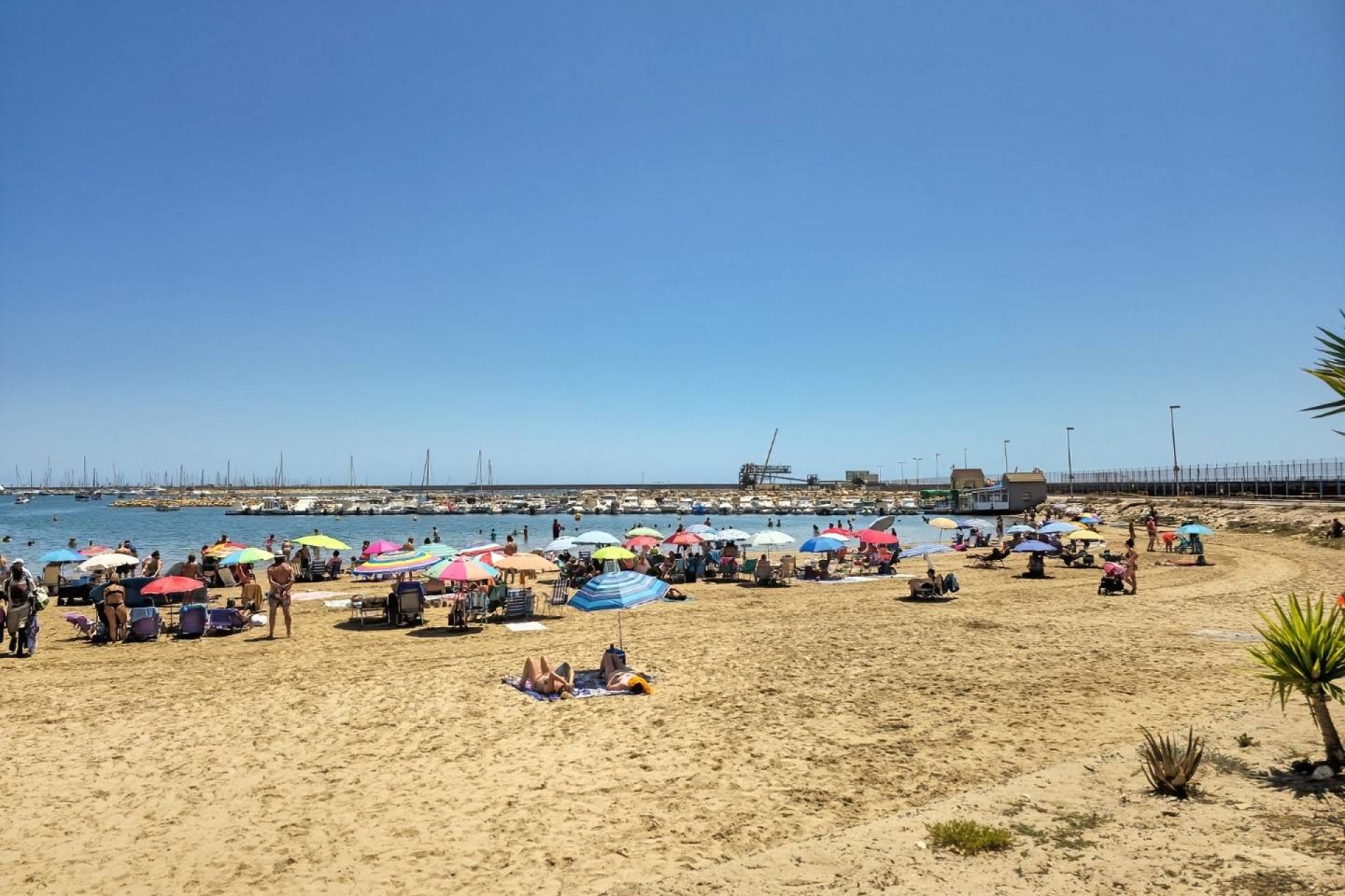 Wiederverkauf - Wohnung -
Torrevieja - Costa Blanca