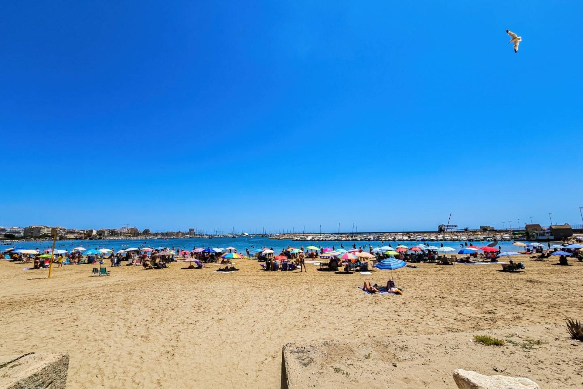 Wiederverkauf - Wohnung -
Torrevieja - Costa Blanca