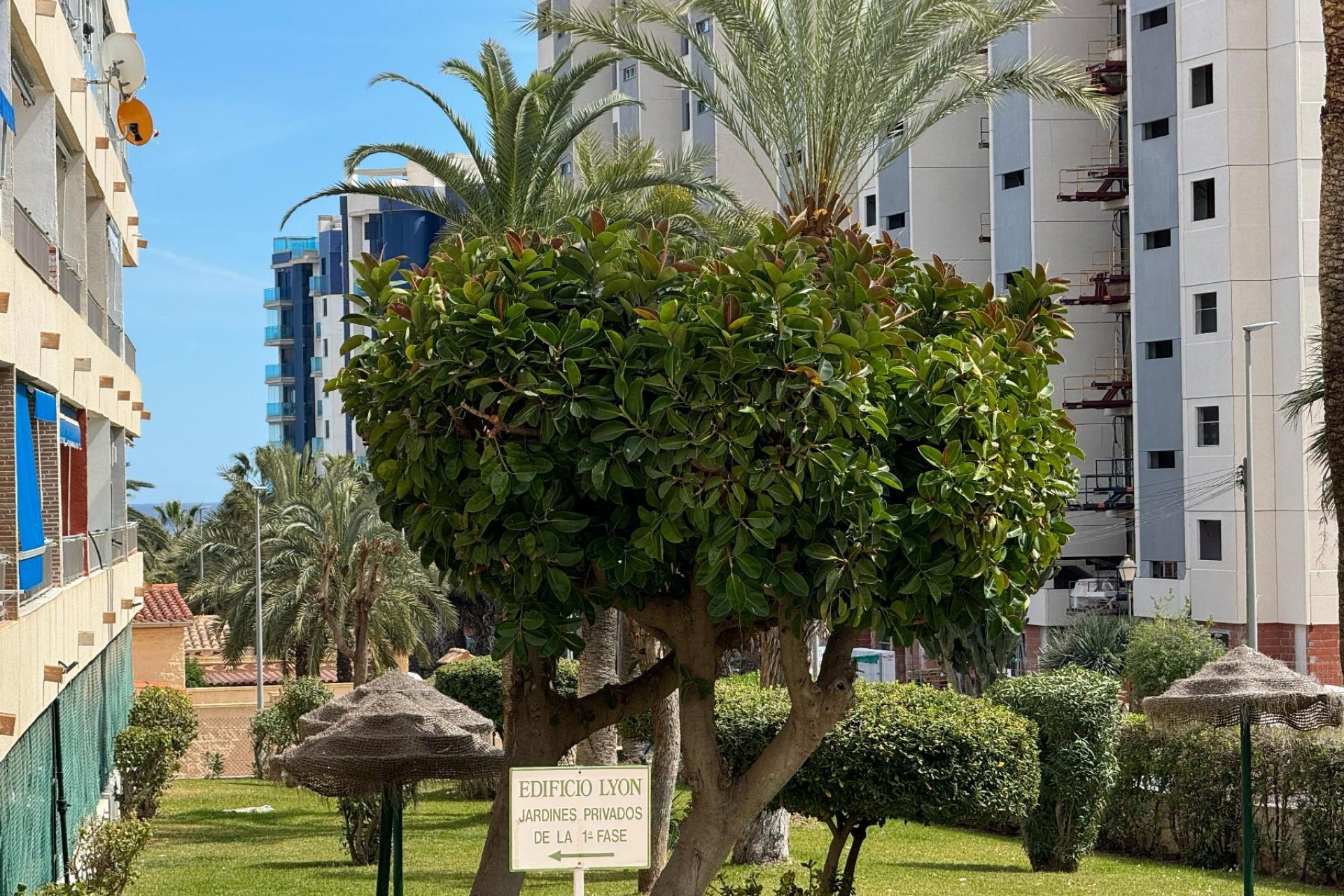 Wiederverkauf - Wohnung -
Torrevieja - Costa Blanca