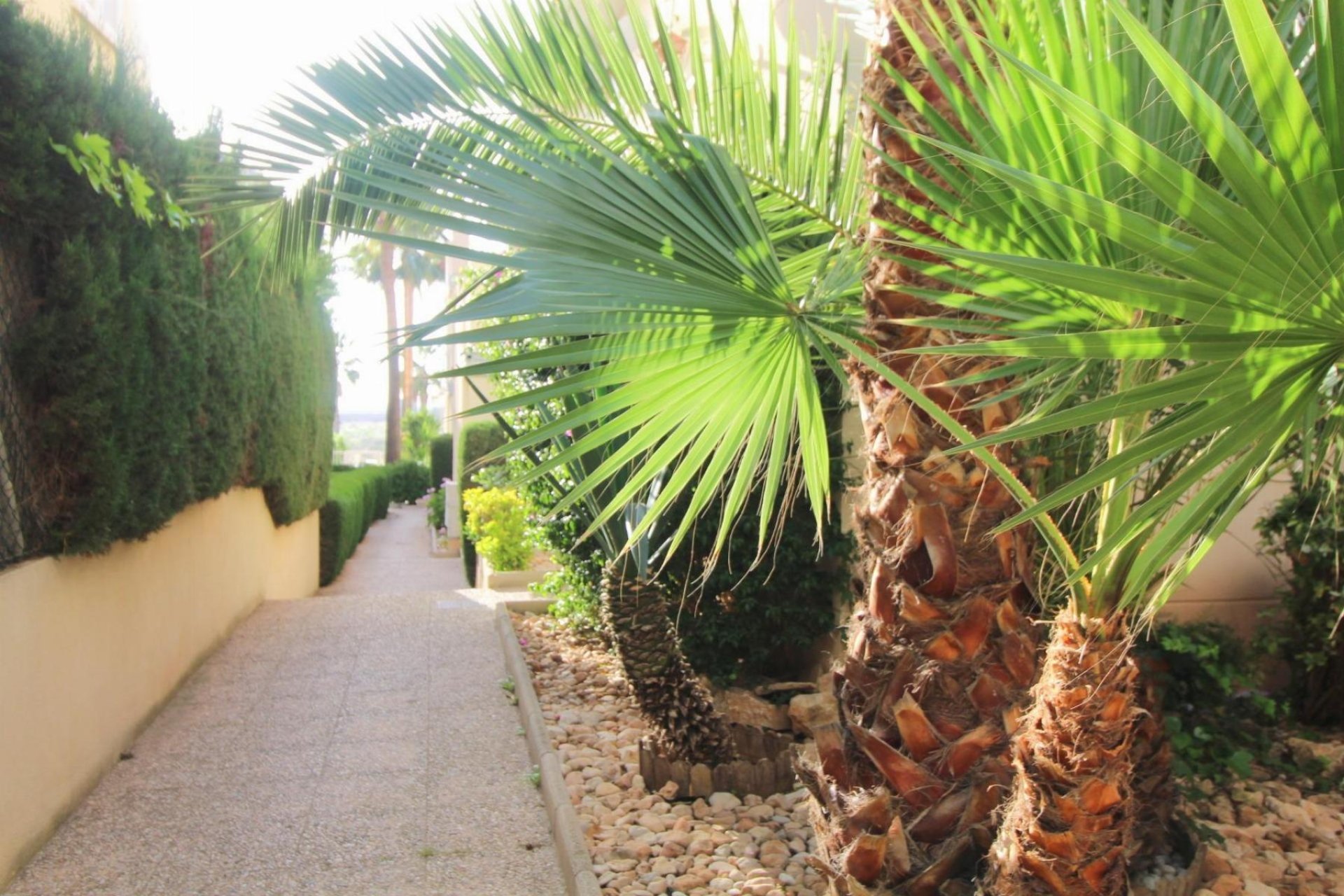Wiederverkauf - Wohnung -
Torrevieja - Costa Blanca