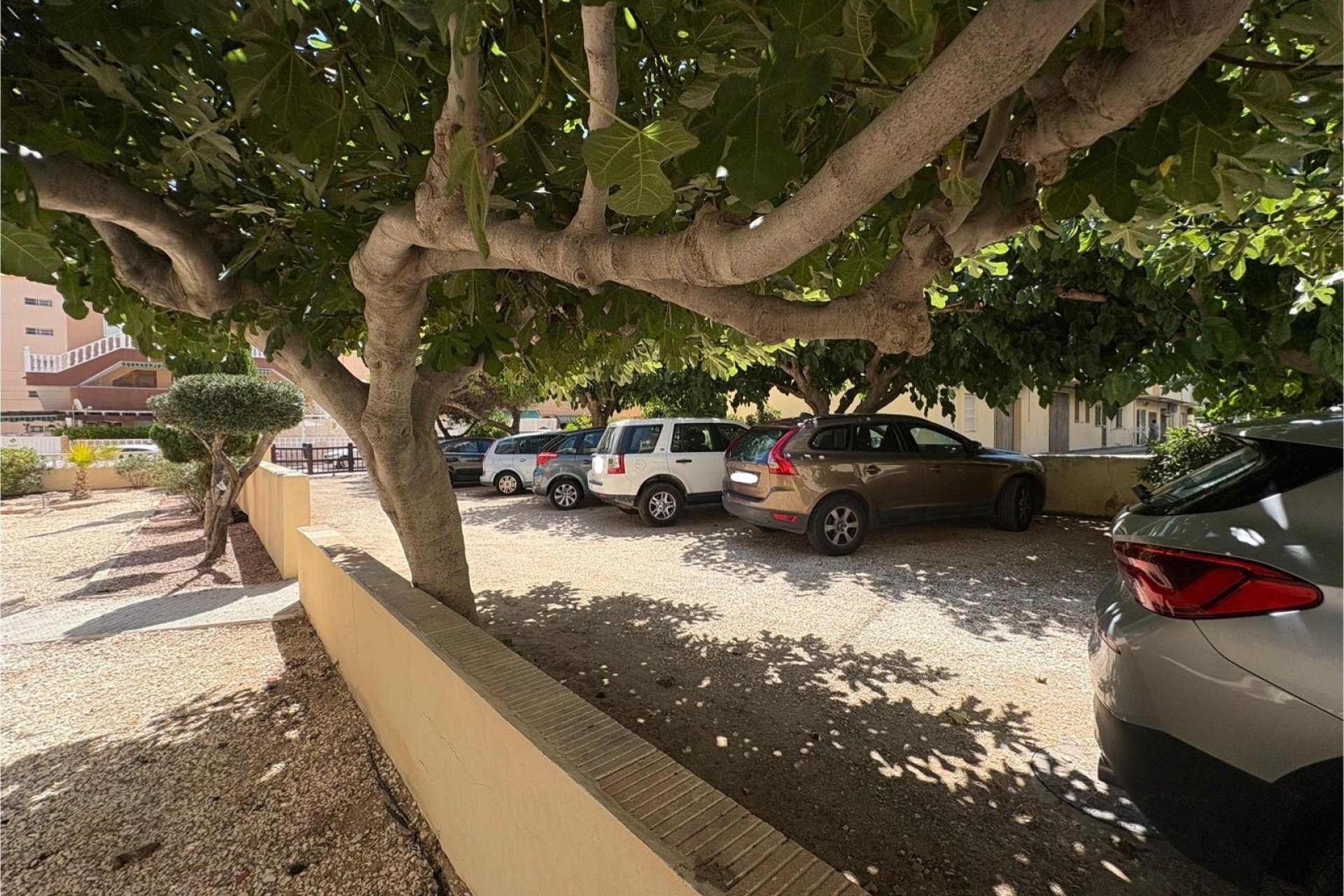 Wiederverkauf - Wohnung -
Torrevieja - Costa Blanca