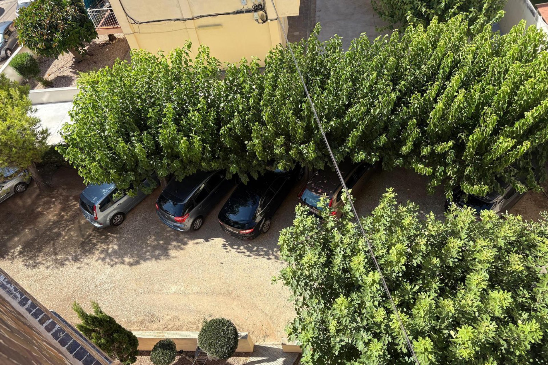 Wiederverkauf - Wohnung -
Torrevieja - Costa Blanca