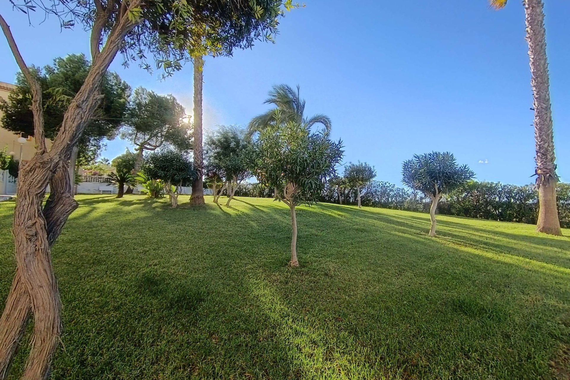 Wiederverkauf - Wohnung -
Torrevieja - Costa Blanca