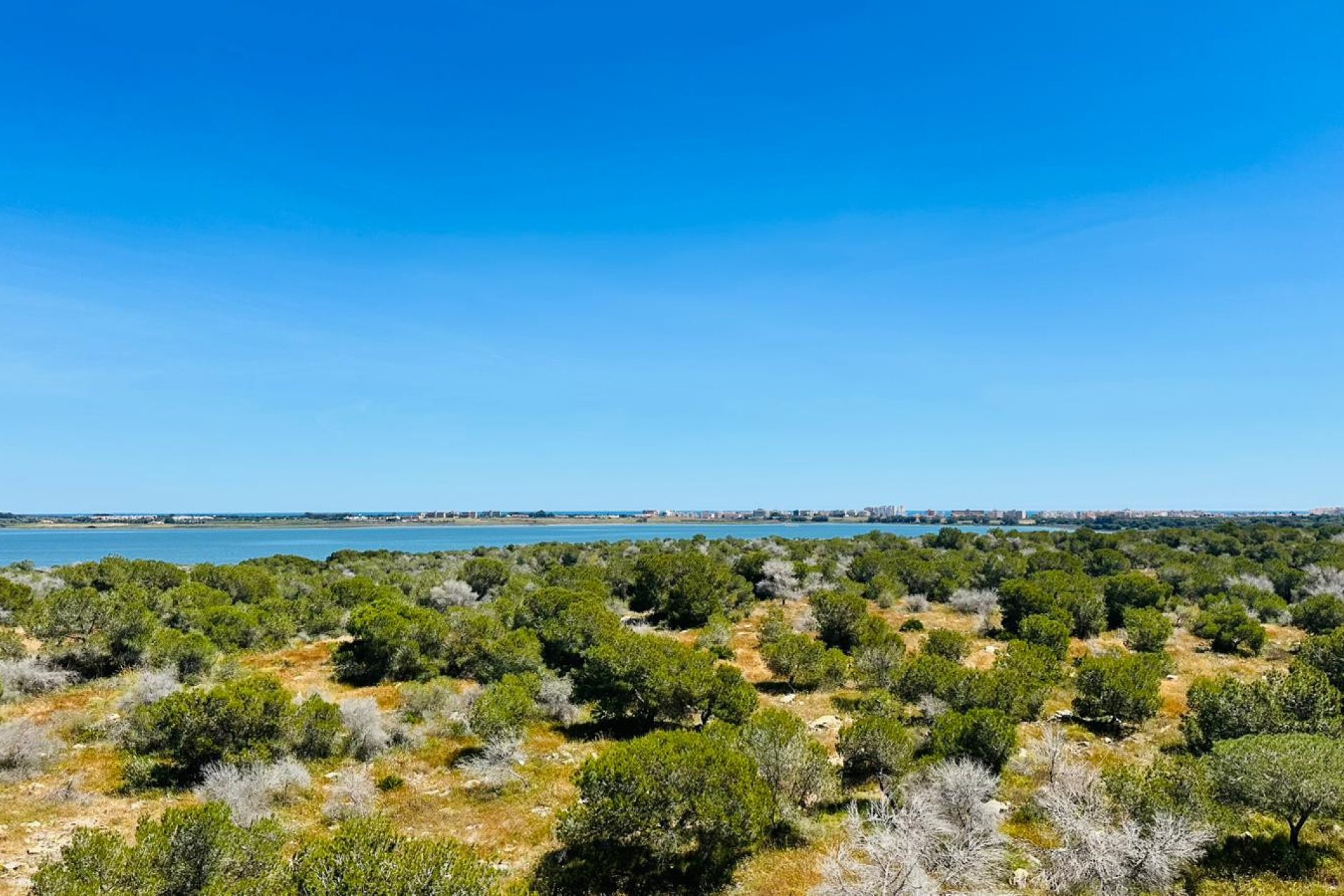Wiederverkauf - Wohnung -
Torrevieja - Costa Blanca