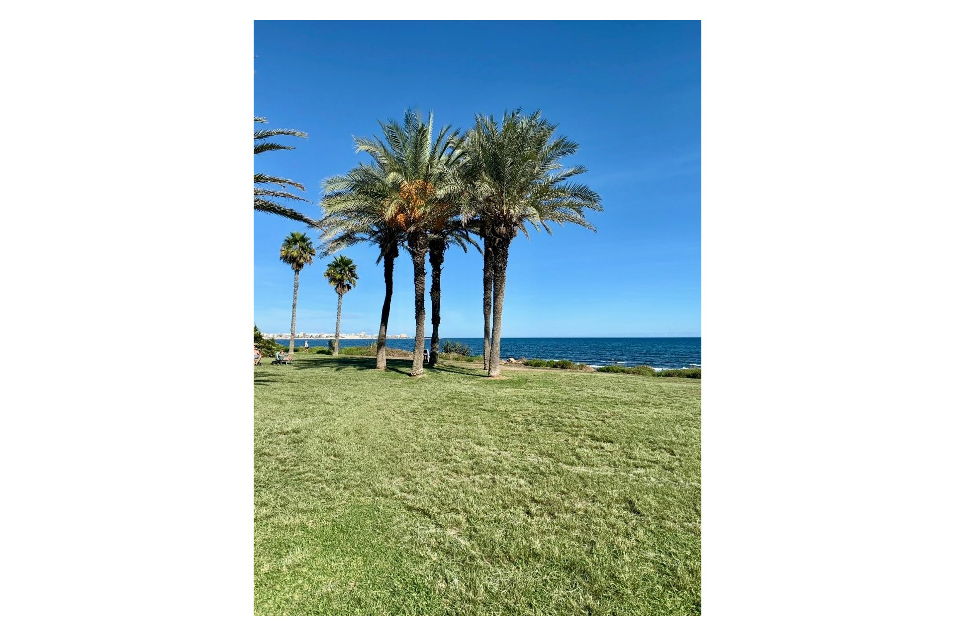 Wiederverkauf - Wohnung -
Torrevieja - Costa Blanca