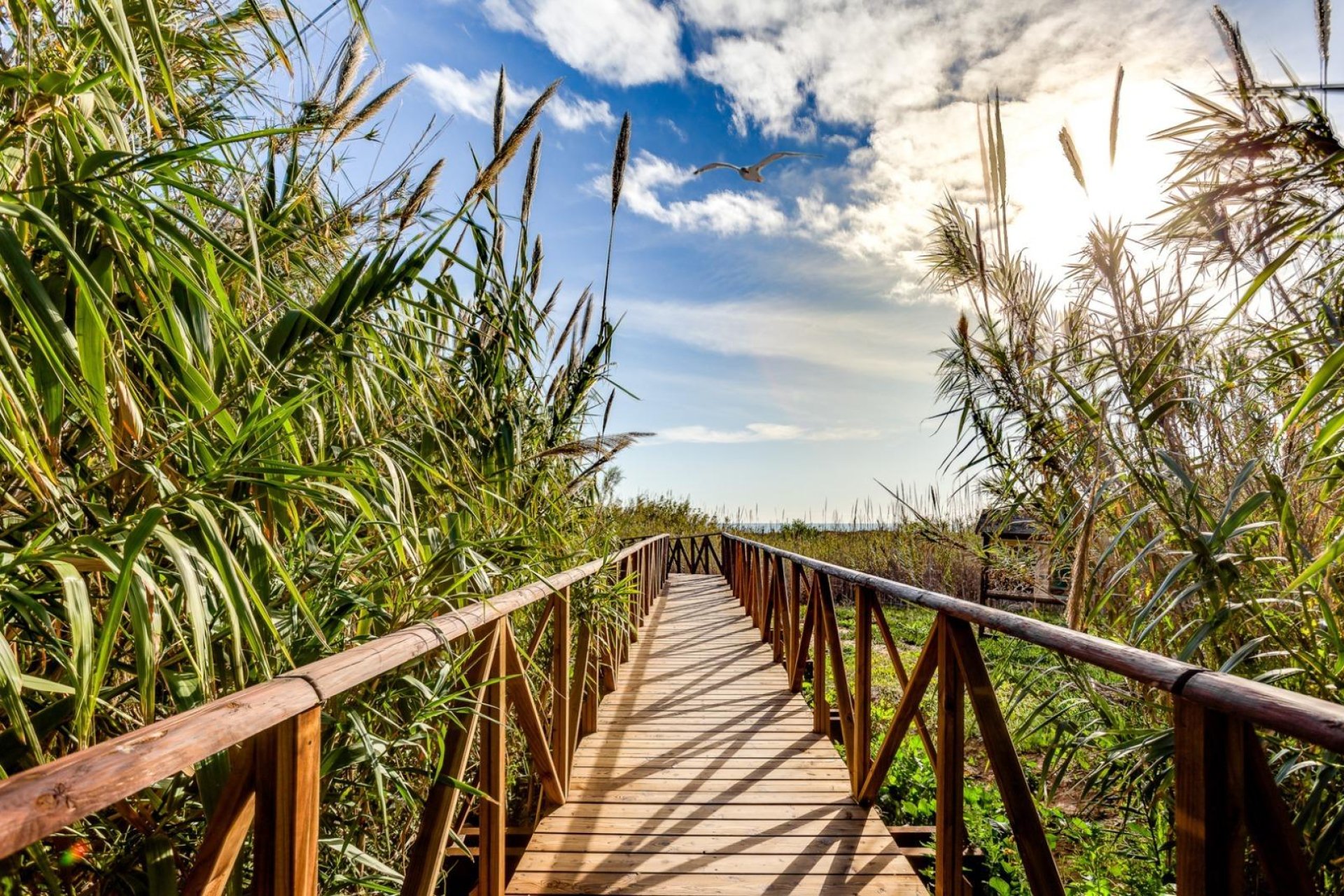 Wiederverkauf - Wohnung -
Torrevieja - La Mata