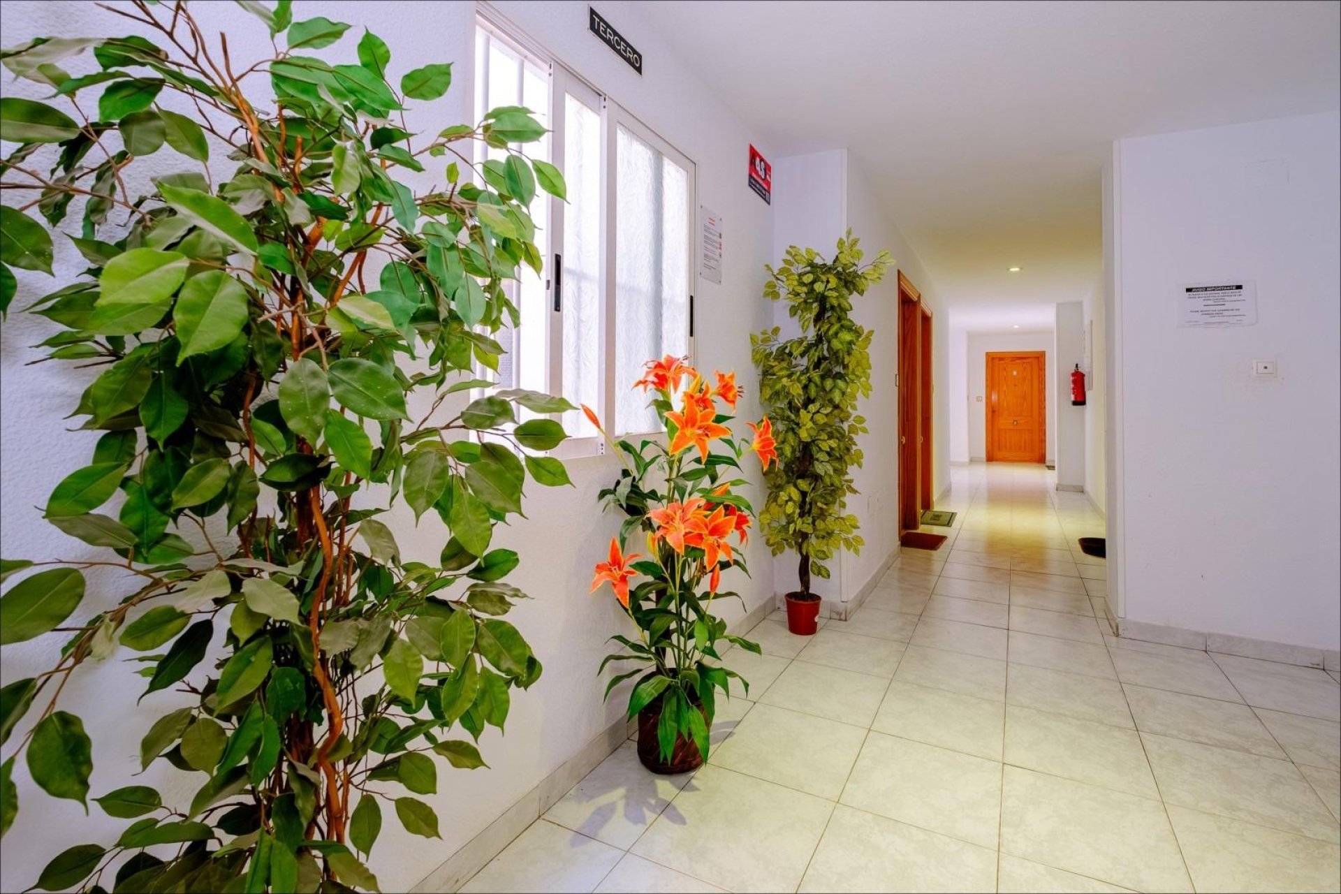 Wiederverkauf - Wohnung -
Torrevieja - Playa del Cura