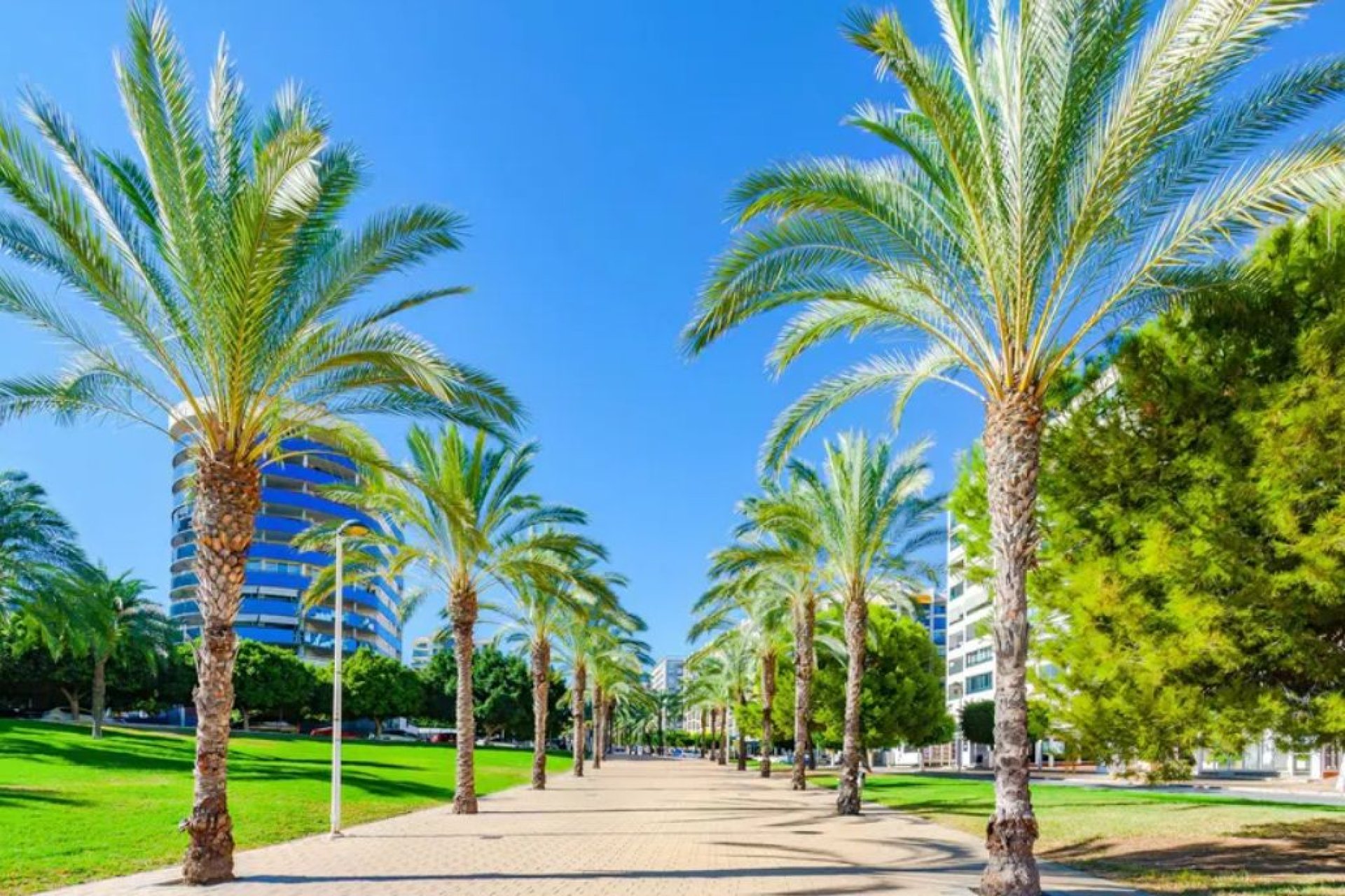 Wiederverkauf - Wohnung -
Villajoyosa - Costa Blanca