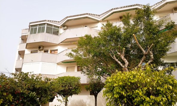 Wohnung - Wiederverkauf - Orihuela Costa -
                Costa Blanca