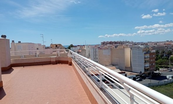 Wohnung - Wiederverkauf - Torrevieja - Costa Blanca