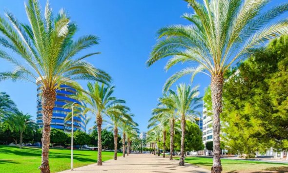 Wohnung - Wiederverkauf - Villajoyosa - Costa Blanca