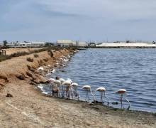 San Pedro del Pinatar Murcia Costa Cálida