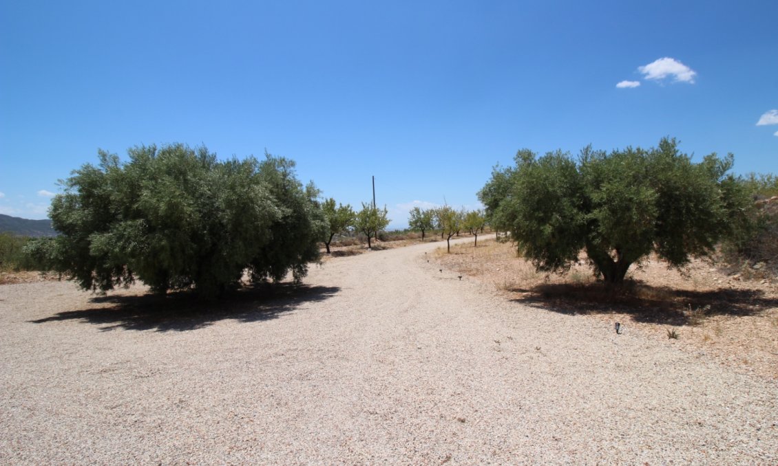 Segunda mano - Villa -
Macisvenda - Inland
