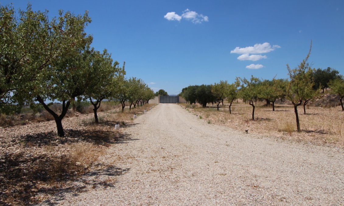 Segunda mano - Villa -
Macisvenda - Inland