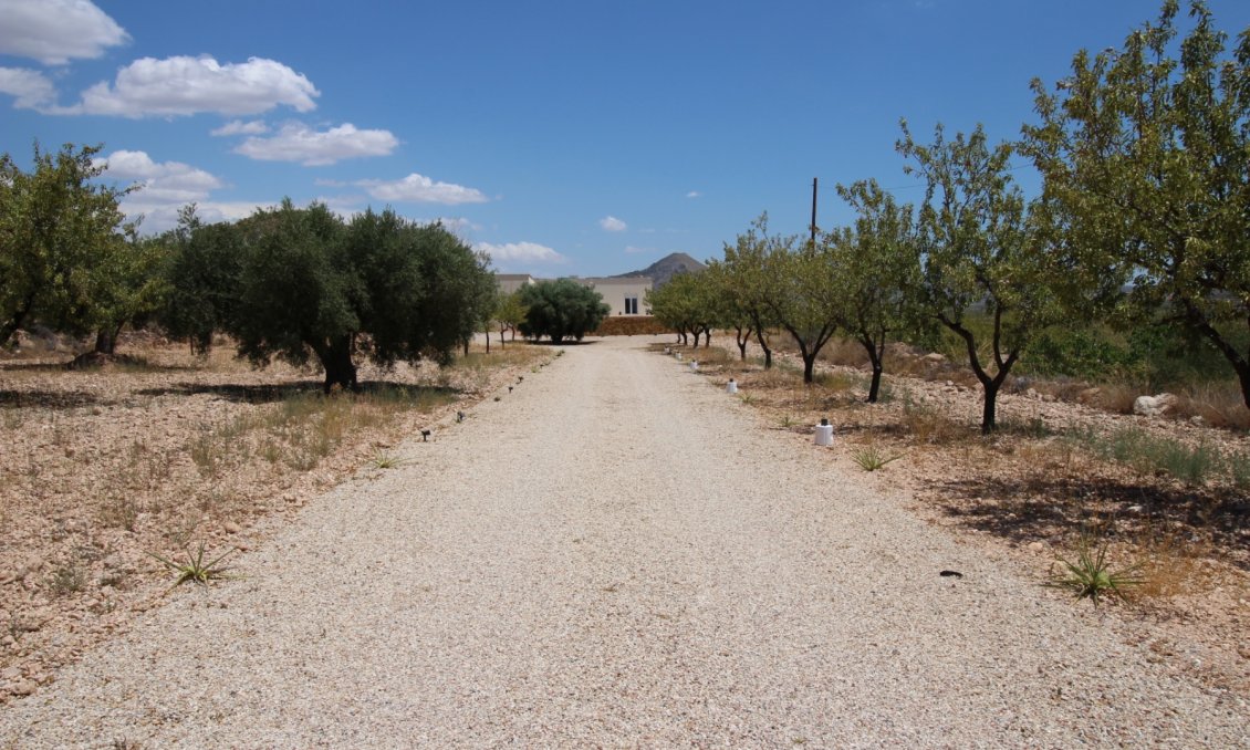 Segunda mano - Villa -
Macisvenda - Inland