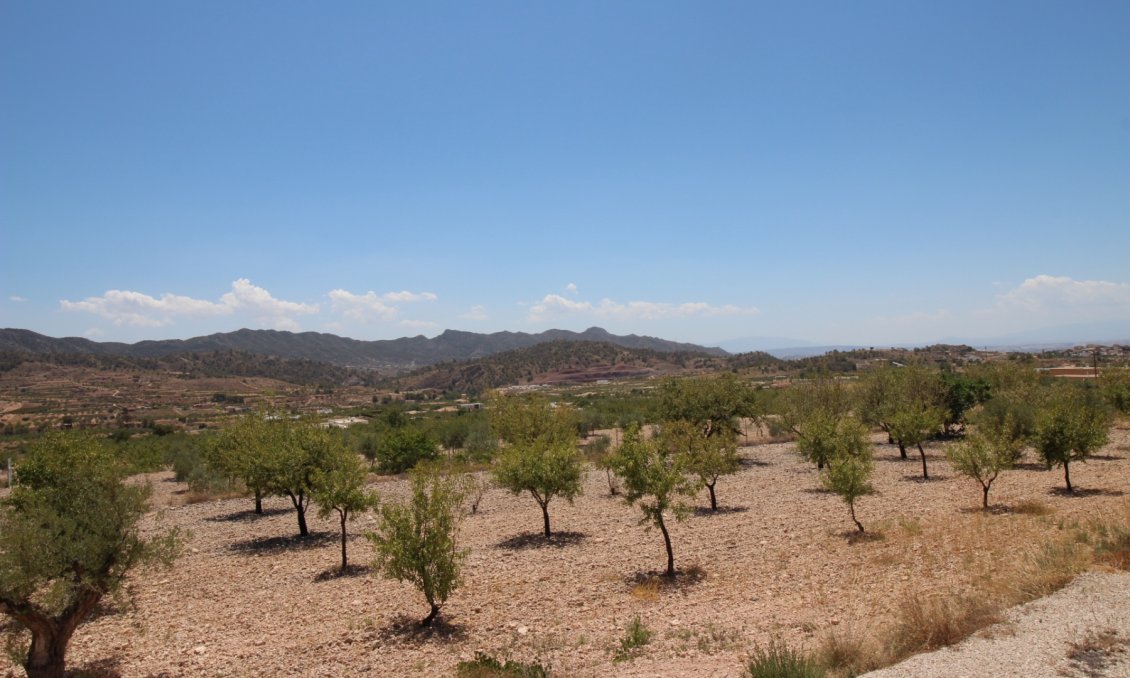 Segunda mano - Villa -
Macisvenda - Inland