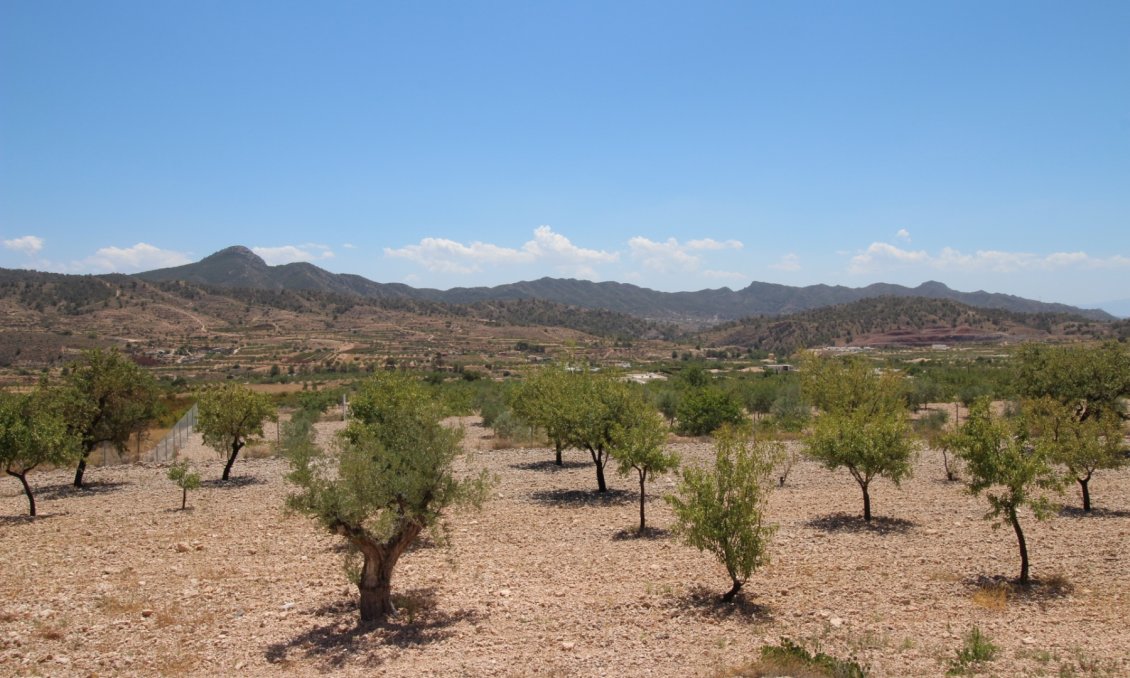 Segunda mano - Villa -
Macisvenda - Inland