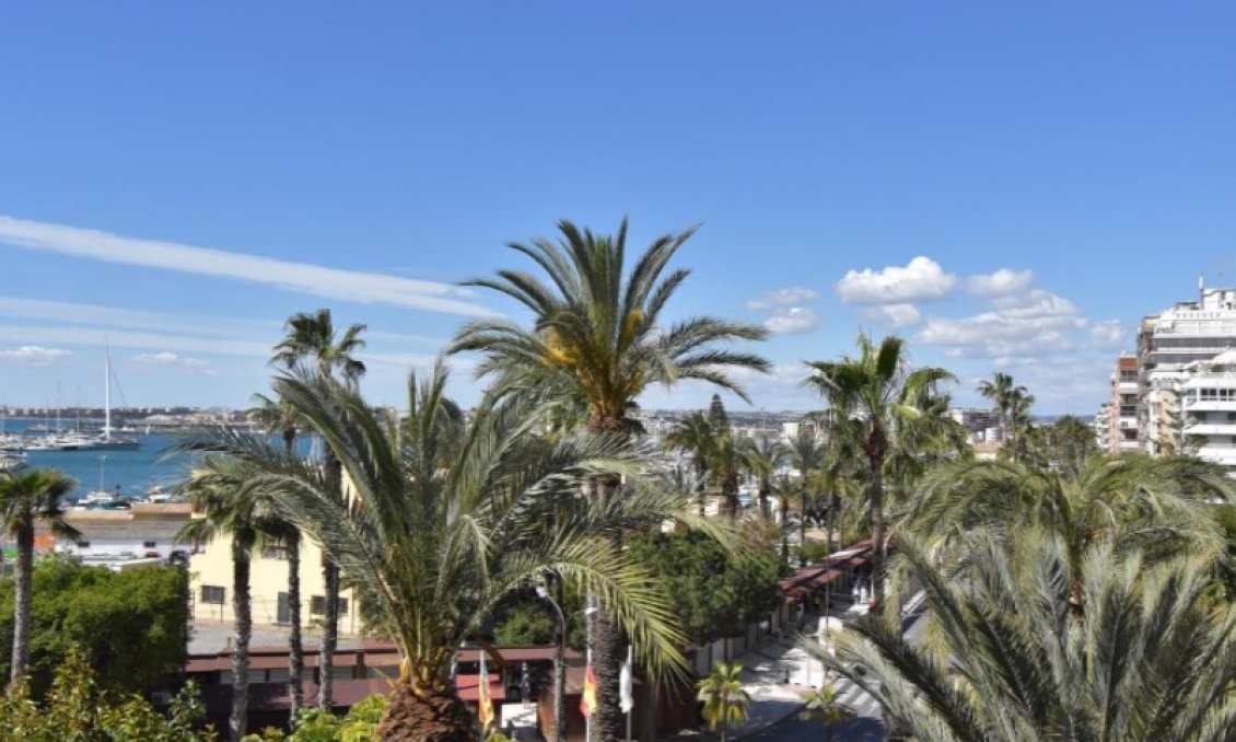 Segunda mano - Apartamento -
Torrevieja - Costa Blanca