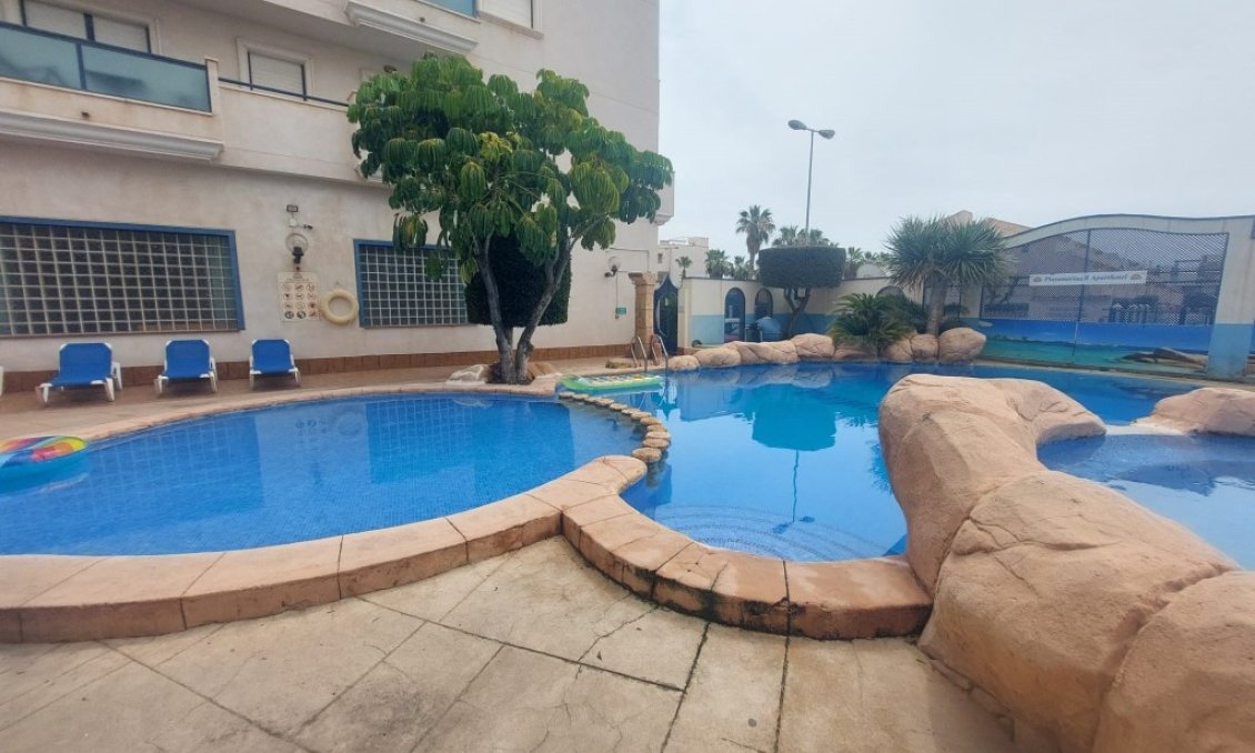 Segunda mano - Apartamento -
La Zenia - Costa Blanca