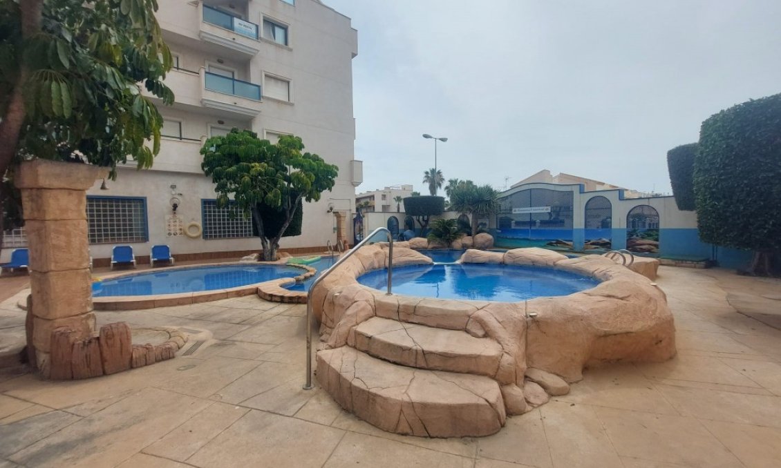 Segunda mano - Apartamento -
La Zenia - Costa Blanca