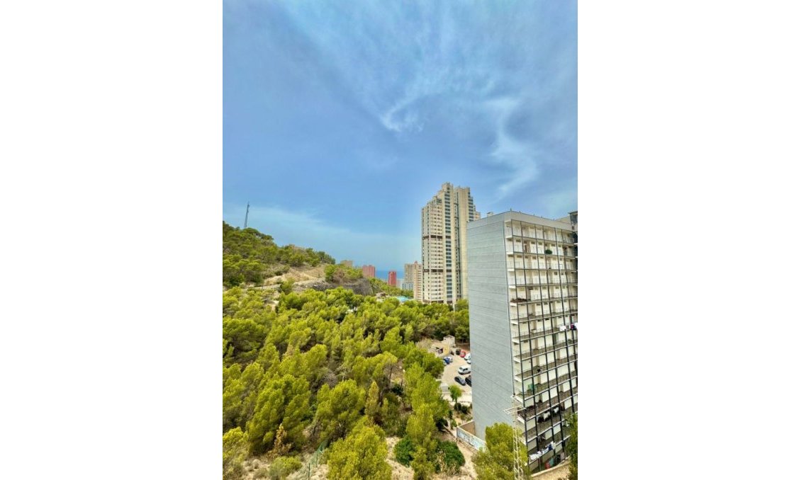 Segunda mano - Apartamento -
Benidorm - Costa Blanca