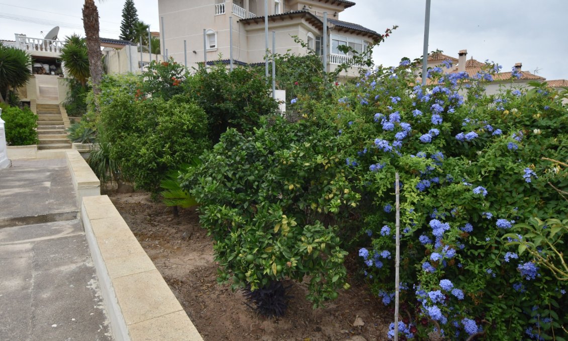 Segunda mano - Villa -
Algorfa - Inland