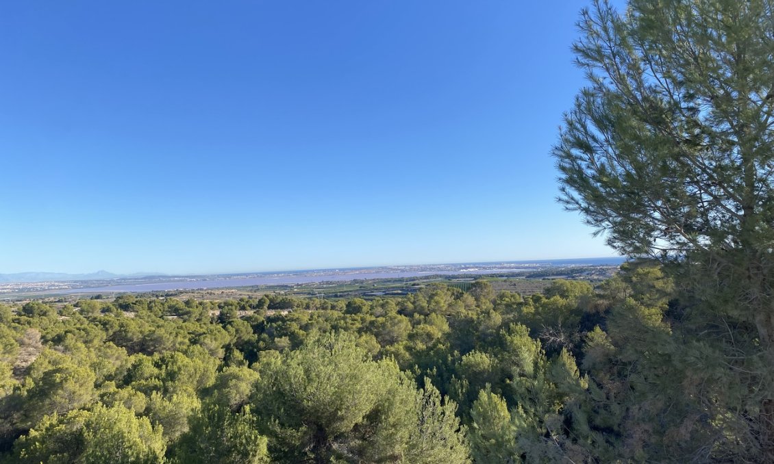 Használt Ingatlanok - Villa -
San Miguel de Salinas - Inland