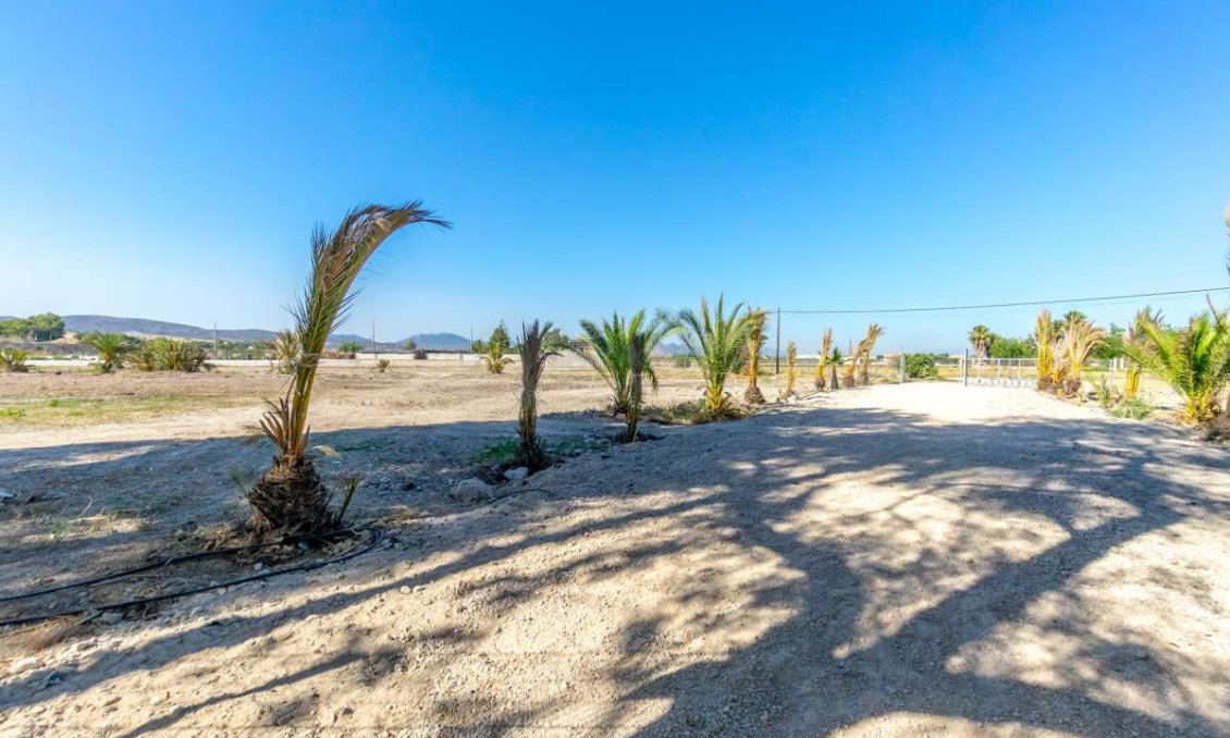 Segunda mano - Villa -
Orihuela - Inland