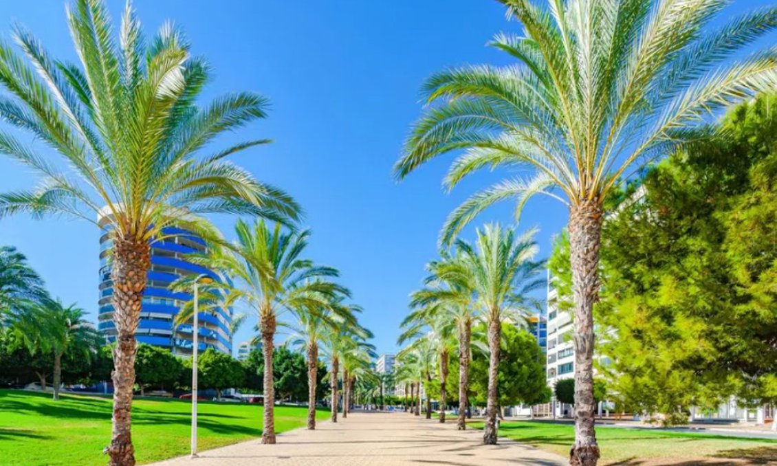 Segunda mano - Apartamento -
Villajoyosa - Costa Blanca