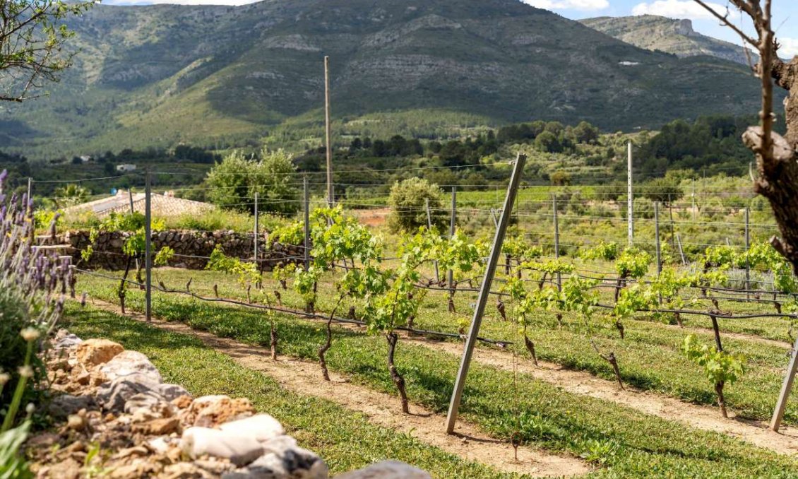 Segunda mano - Villa -
Murla - Inland