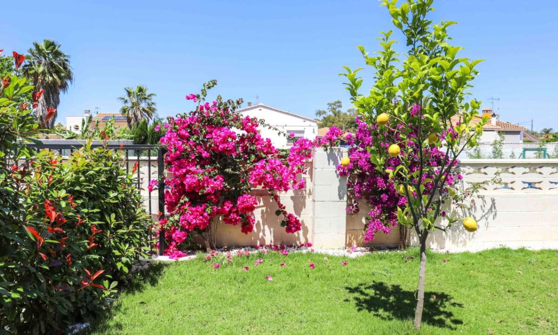 Segunda mano - Villa -
Denia - Costa Blanca