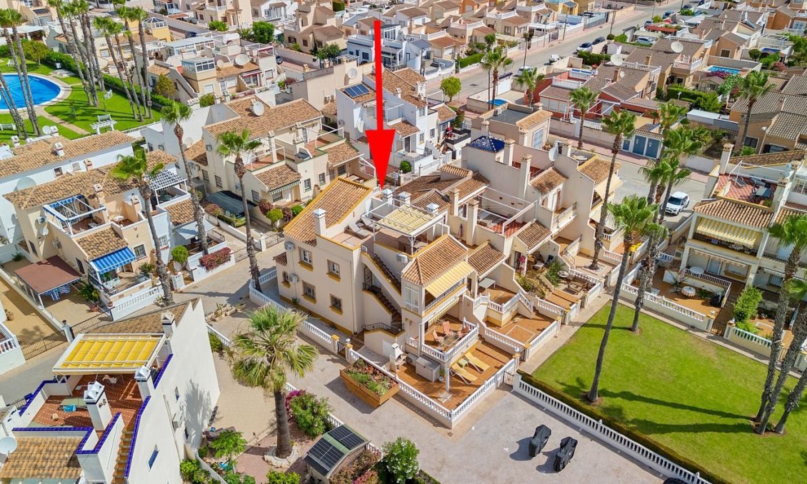 Wiederverkauf - Bungalow -
Playa Flamenca - Costa Blanca