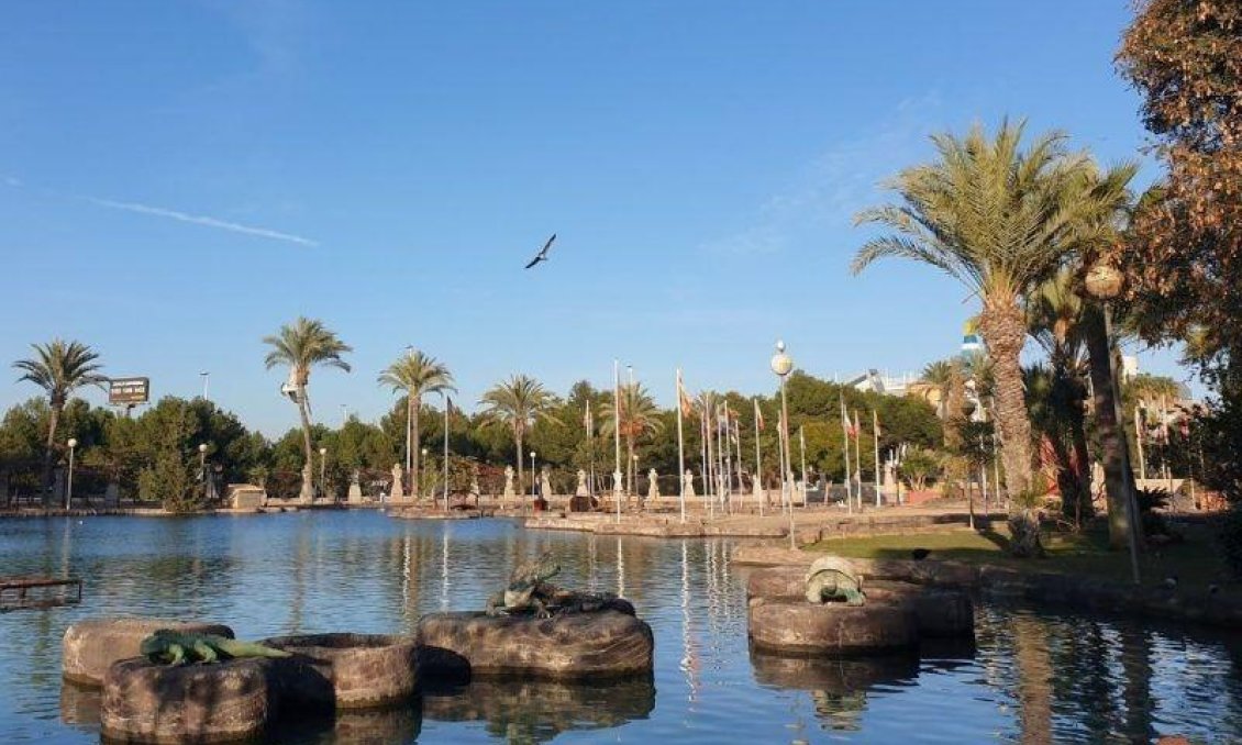 Segunda mano - Apartamento -
Torrevieja - Parque Las Naciones