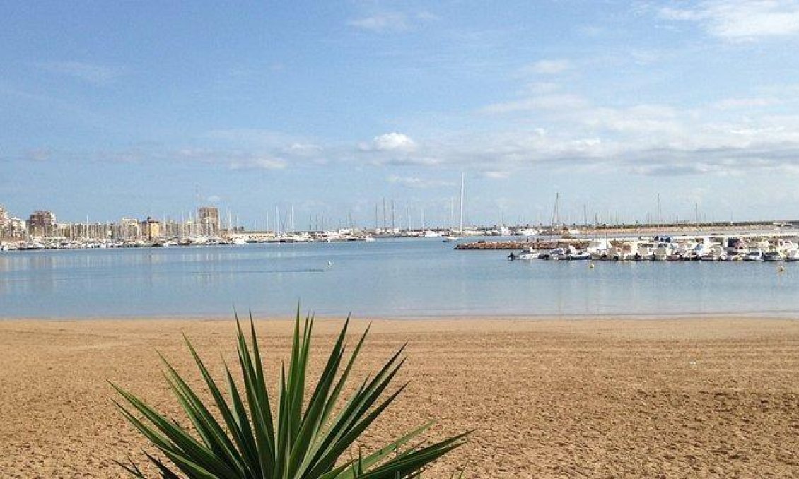 Segunda mano - Apartamento -
Torrevieja - Parque Las Naciones