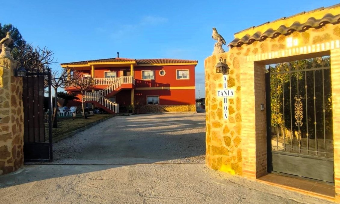 Segunda mano - Villa -
Orihuela - Desamparados-hurchillo-torremendo